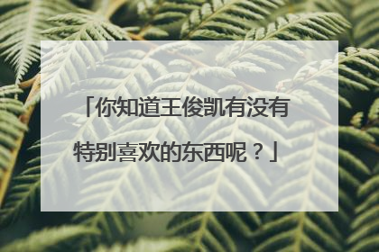 你知道王俊凯有没有特别喜欢的东西呢？