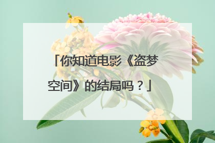 你知道电影《盗梦空间》的结局吗?