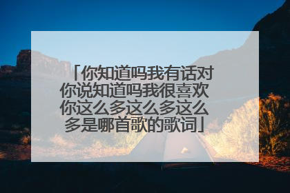你知道吗我有话对你说知道吗我很喜欢你这么多这么多这么多是哪首歌的歌词