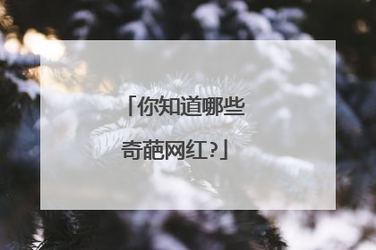 你知道哪些奇葩网红?