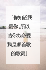 你知道我爱你,所以请你务必爱我是哪首歌的歌词