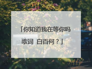 你知道我在等你吗歌词 白百何?