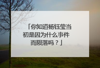 你知道杨钰莹当初是因为什么事件而陨落吗?