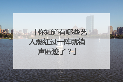 你知道有哪些艺人爆红过一阵就销声匿迹了？