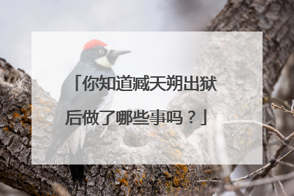 你知道臧天朔出狱后做了哪些事吗？