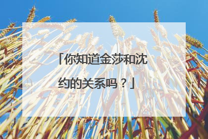 你知道金莎和沈约的关系吗？