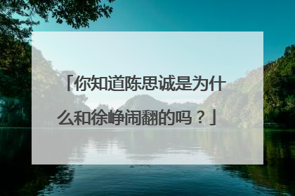 你知道陈思诚是为什么和徐峥闹翻的吗?