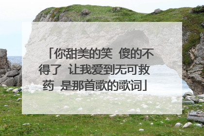 你甜美的笑 傻的不得了 让我爱到无可救药 是那首歌的歌词