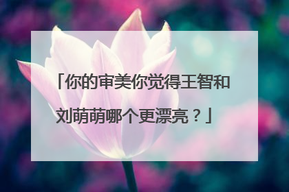 你的审美你觉得王智和刘萌萌哪个更漂亮?