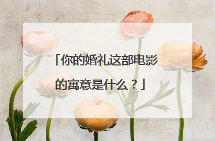 你的婚礼这部电影的寓意是什么？