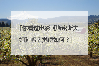 你看过电影《斯密斯夫妇》吗?觉得如何?