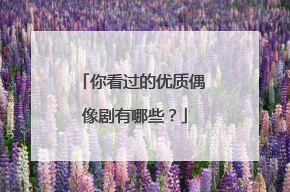 你看过的优质偶像剧有哪些？