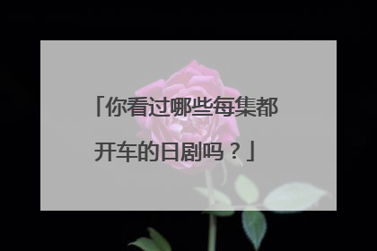 你看过哪些每集都开车的日剧吗？