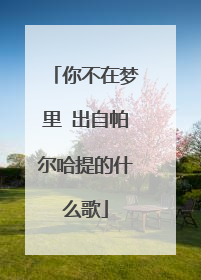 你不在梦里 出自帕尔哈提的什么歌
