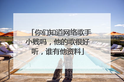 你们知道网络歌手小贱吗，他的歌很好听，谁有他资料