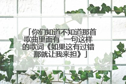 你们知道不知道那首歌曲里面有 一句这样的歌词《如果这有过错 那就让我来担》