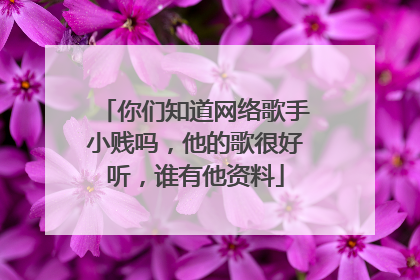 你们知道网络歌手小贱吗，他的歌很好听，谁有他资料