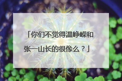 你们不觉得温峥嵘和张一山长的很像么？