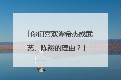 你们喜欢谭希杰或武艺、陈翔的理由？