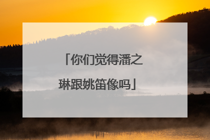 你们觉得潘之琳跟姚笛像吗