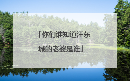 你们谁知道汪东城的老婆是谁