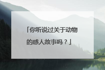 你听说过关于动物的感人故事吗？