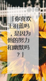 你喜欢王祖蓝吗，是因为他的努力和幽默吗？