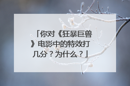 你对《狂暴巨兽》电影中的特效打几分?为什么?