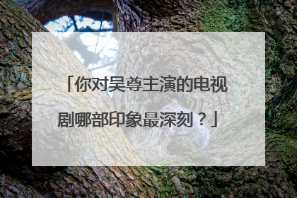 你对吴尊主演的电视剧哪部印象最深刻?