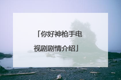 你好神枪手电视剧剧情介绍