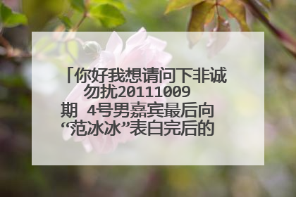 你好我想请问下非诚勿扰20111009期 4号男嘉宾最后向“范冰冰”表白完后的音乐叫什么呢?