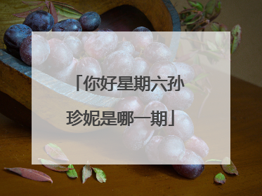 你好星期六孙珍妮是哪一期