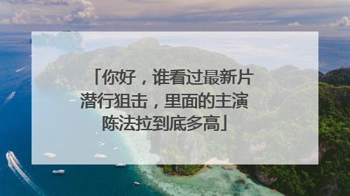 你好，谁看过最新片潜行狙击，里面的主演陈法拉到底多高