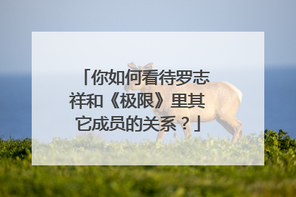 你如何看待罗志祥和《极限》里其它成员的关系?