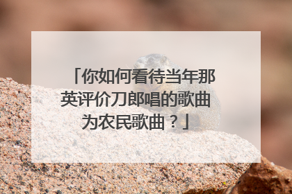 你如何看待当年那英评价刀郎唱的歌曲为农民歌曲？