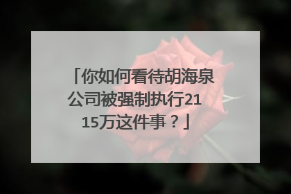 你如何看待胡海泉公司被强制执行2115万这件事？