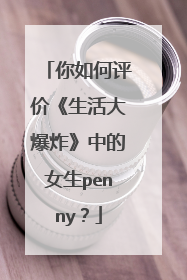你如何评价《生活大爆炸》中的女生penny？