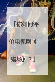 你如何评价电视剧《猎场》？