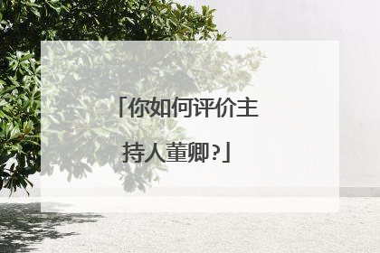 你如何评价主持人董卿?