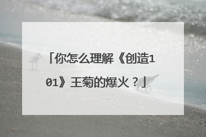 你怎么理解《创造101》王菊的爆火？