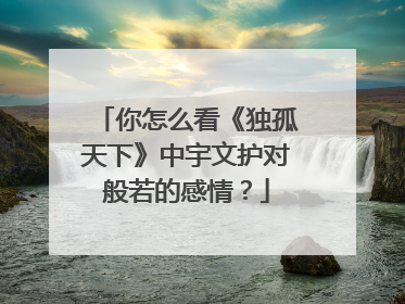 你怎么看《独孤天下》中宇文护对般若的感情?