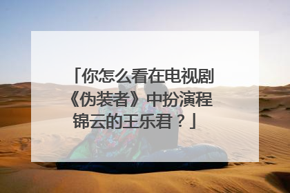你怎么看在电视剧《伪装者》中扮演程锦云的王乐君?