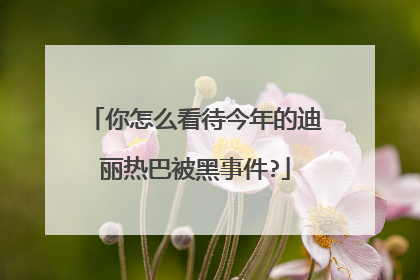你怎么看待今年的迪丽热巴被黑事件?