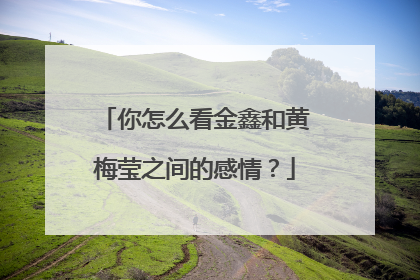 你怎么看金鑫和黄梅莹之间的感情？