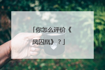 你怎么评价《凤囚凰》？