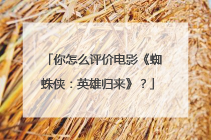 你怎么评价电影《蜘蛛侠：英雄归来》？