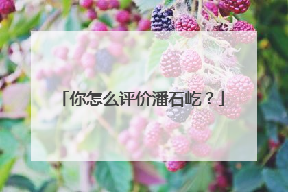 你怎么评价潘石屹？