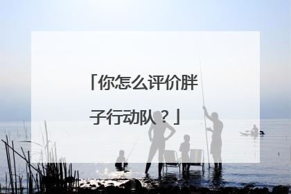 你怎么评价胖子行动队?