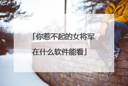 你惹不起的女将军在什么软件能看