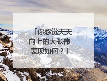 你感觉天天向上的大张伟表现如何？